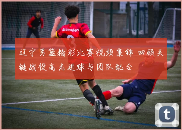 辽宁男篮精彩比赛视频集锦 回顾关键战役高光进球与团队配合