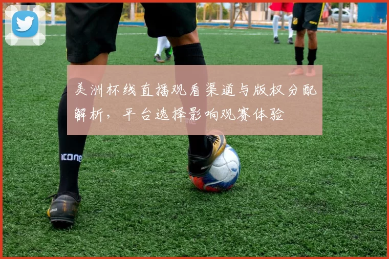 美洲杯线直播观看渠道与版权分配解析，平台选择影响观赛体验